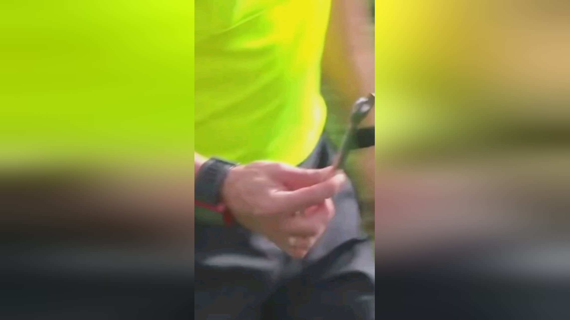 的成长机